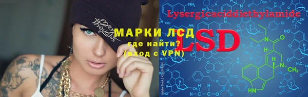 PSILOCYBIN Алзамай