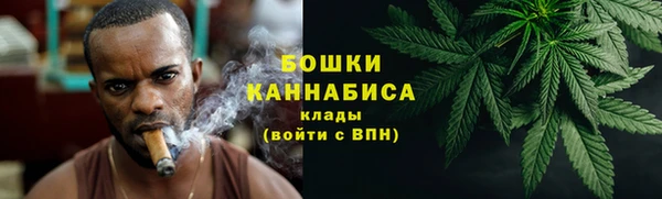 PSILOCYBIN Алзамай