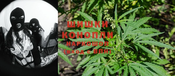 PSILOCYBIN Алзамай