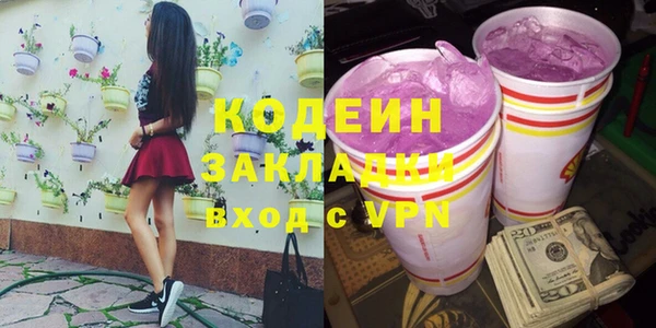 PSILOCYBIN Алзамай