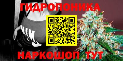 бошки Донецк
