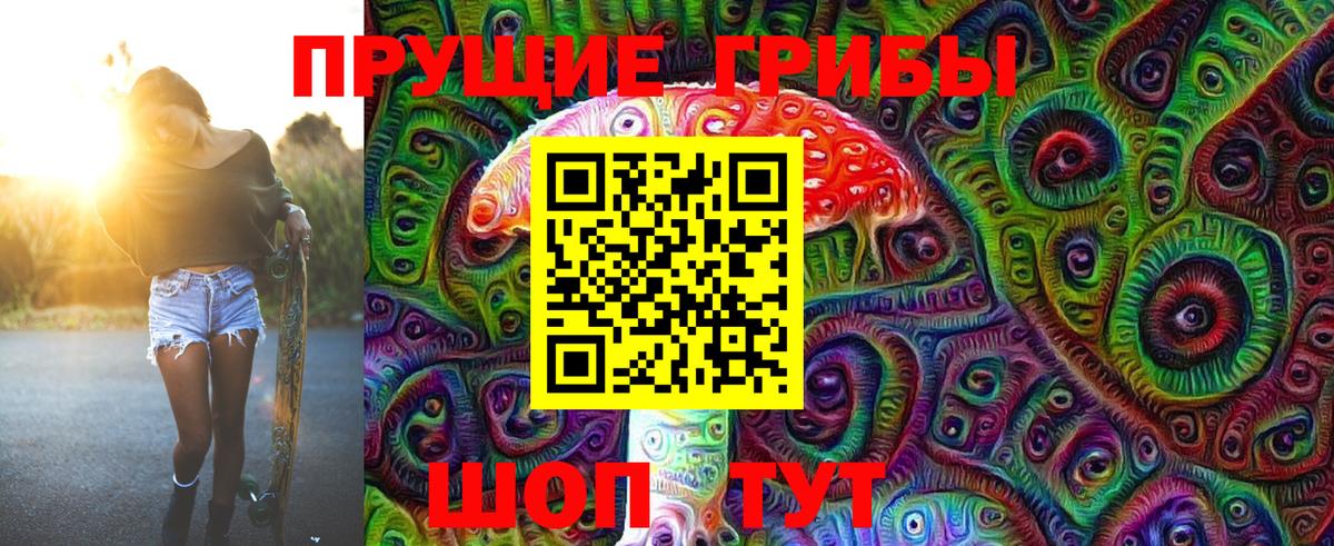 Галлюциногенные грибы Psilocybine cubensis Глазов