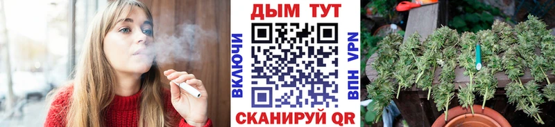 купить  сайты  Глазов  МАРИХУАНА ГИДРОПОН 
